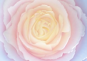 フェアリーテール