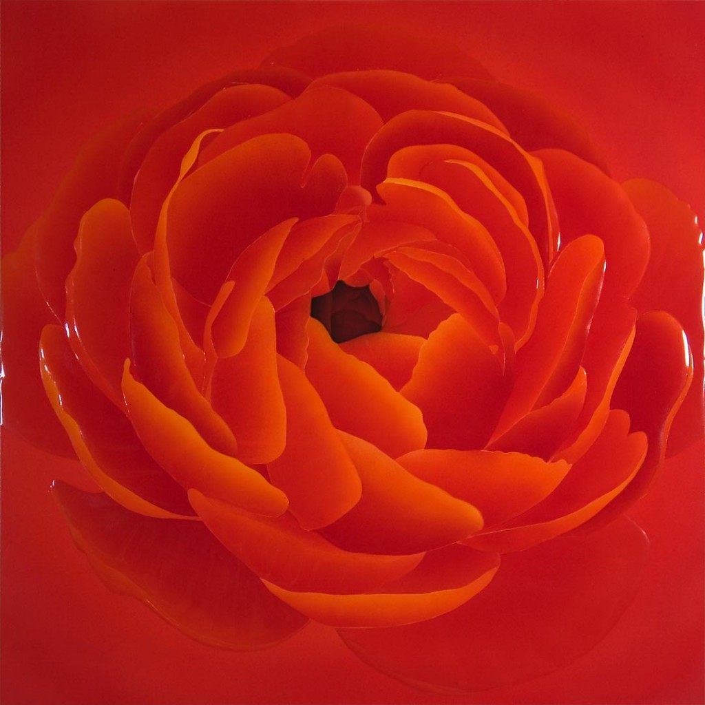 ラナンキュラス